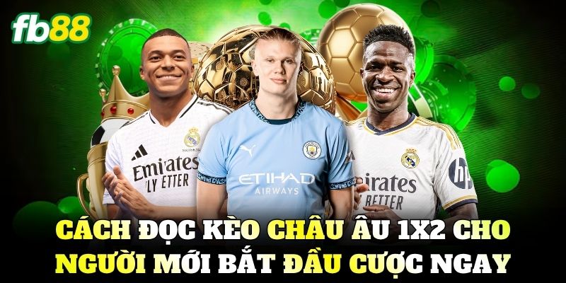 Kèo Châu Âu Là Gì? Bí Kíp Soi Kèo 1x2 Luôn Thắng 2026 2 Cách đọc Kèo Châu Âu 1x2 cho người mới bắt đầu cược ngay
