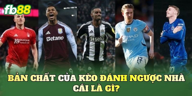 Kèo Đánh Ngược Nhà Cái Là Gì? Cách Nhìn Kèo Chuẩn 1 Bản chất của kèo đánh ngược nhà cái là gì?