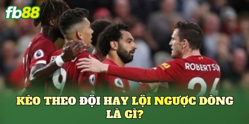 Kèo Theo Đội Hay Lội Ngược Dòng: Chọn Sao Cho Chuẩn 1 Kèo theo đội hay lội ngược dòng là gì?