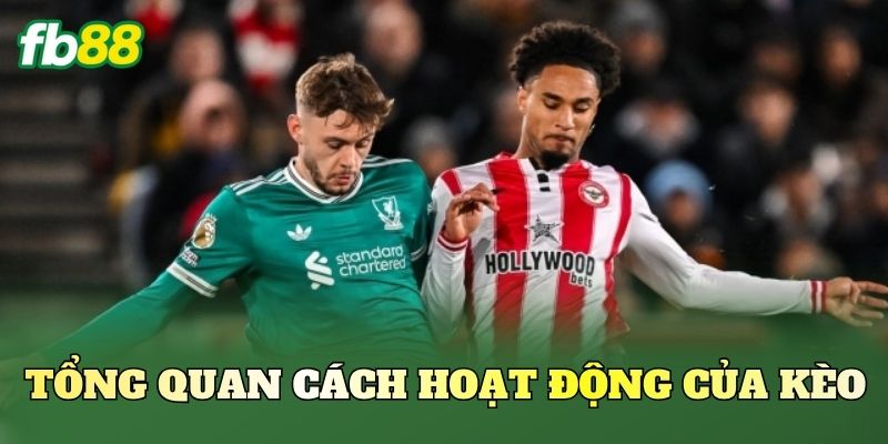 Kèo Theo Đội Hay Thủng Lưới Trước: Cách Đánh Hiệu Quả Nhất 1 Tổng quan cách hoạt động của kèo