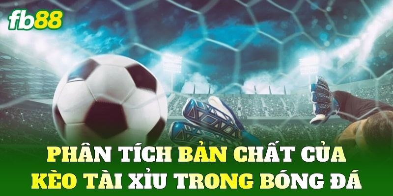 Phân tích bản chất của Kèo Tài Xỉu trong bóng đá