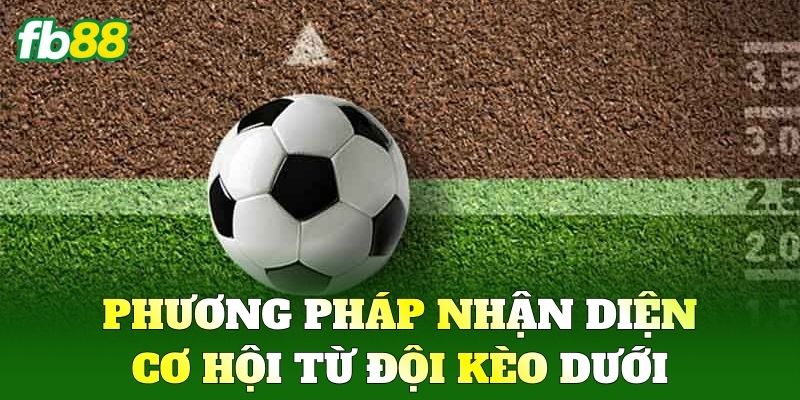 Kèo Dưới: Chiến Thuật Chia Vốn Thông Minh Không Thua FB88 2 Phương pháp nhận diện cơ hội từ đội Kèo Dưới