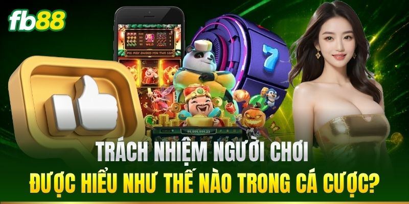 Trách Nhiệm Người Chơi 1 Trách nhiệm người chơi được hiểu như thế nào?