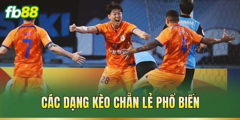 Kèo Chẵn Lẻ – Cách Xác Định Mốc Và Đọc Tỷ Lệ Trận Đấu 2 Các dạng kèo chẵn lẻ phổ biến