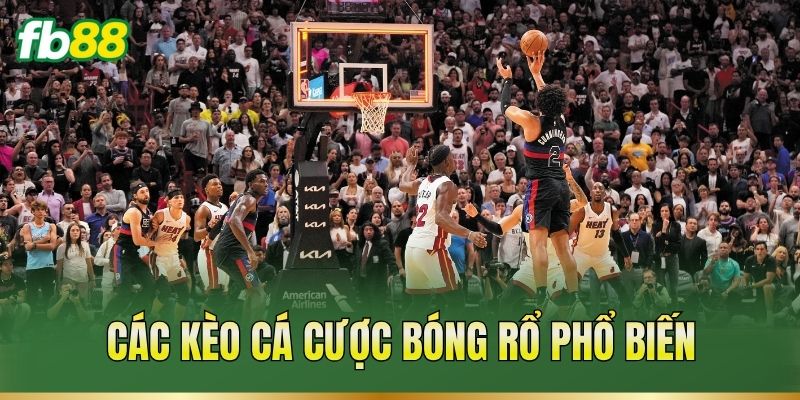 Cá Cược Bóng Rổ – Đọc Kèo Điểm Số Và Phân Tích Trận 2 Các kèo cá cược bóng rổ phổ biến