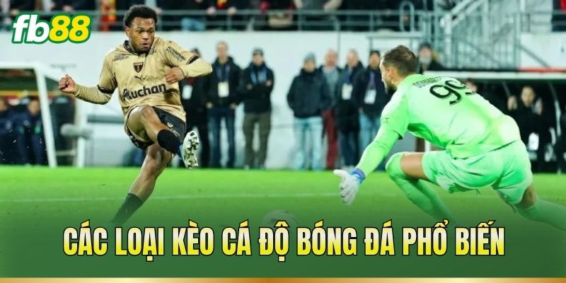 Cá Độ Bóng Đá – Cách Đọc Kèo Và Phân Tích Trận Đấu 2 Các loại kèo cá độ bóng đá phổ biến